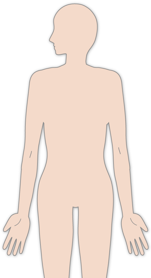 がん（原発）の部位別参加者